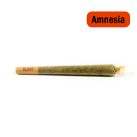 Buy Amnesia Marijuana Preroll Online