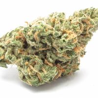 Buy Blue Dream Marijuana Strain Online