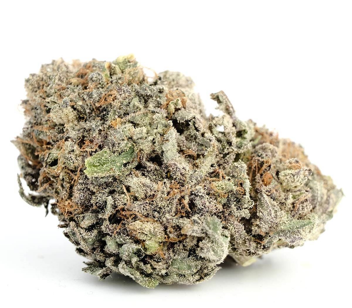 Buy Blackwater Kush Strain Online Buy Blackwater Kush Strain Online