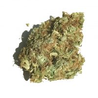 Buy Bubble Gum kush Online
