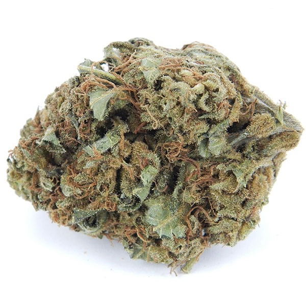 Buy Lemon Thai Marijuana Strain Online Buy Lemon Thai Marijuana Strain Online