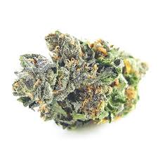 Buy Purple Diesel Marijuana Strain Online