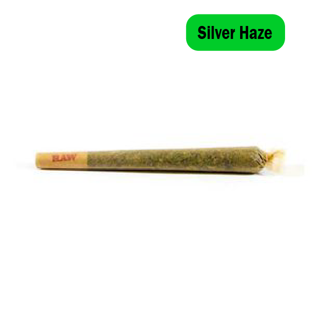 Buy Silver Haze Preroll Online Buy Silver Haze Preroll Online