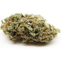 Buy Trainwreck Marijuana Strain Online