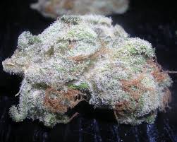 White-Rhino.jpg Buy White Rhino Kush Online