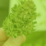 THC Flowers