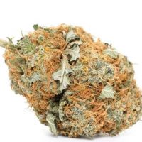 Buy Strawberry Cough Marijuana Strain Online